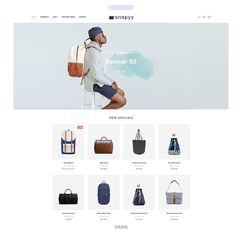 打造跨境電商獨(dú)立站點(diǎn)新生態(tài)：樂(lè)刷與shopyy攜手合作(圖2)