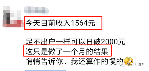 【投票】有人一天賺幾千，有人虧一日三餐，2020年做支付你賺了多少錢？(圖1)